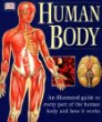 Human Body : An Illustrated Guide to Every Part of the Human Body and How It Works